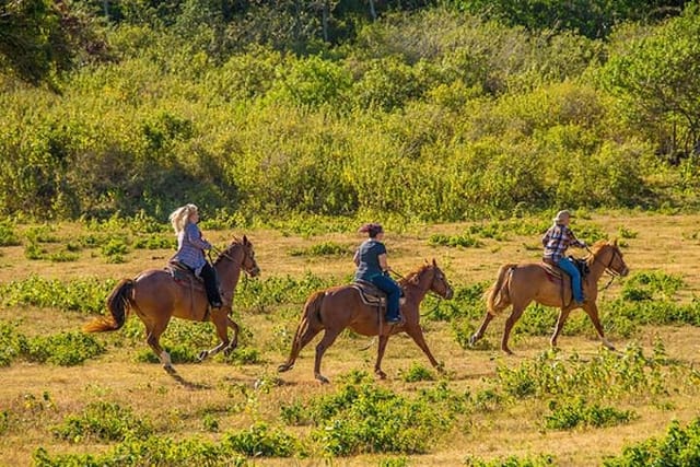 Private Advanced Horseback Ride